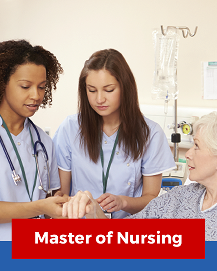 phd in nursing in uae